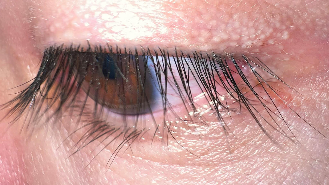 TRAITEMENTS COMBINANTS LIFTING DES CILS ET EXTENSIONS DE CILS