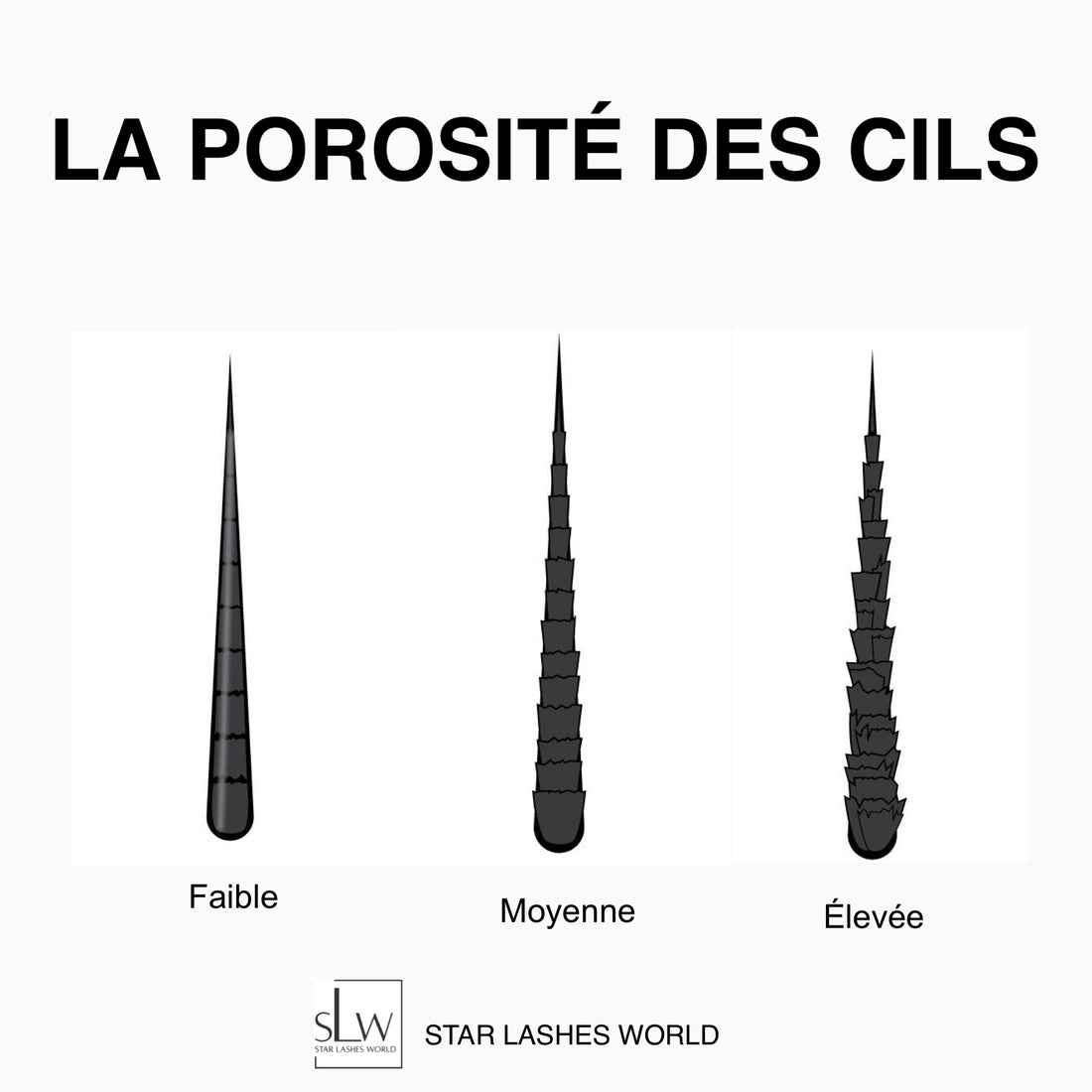 LA POROSITÉ DES CILS