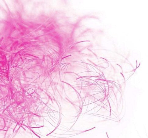 Cils de Couleur