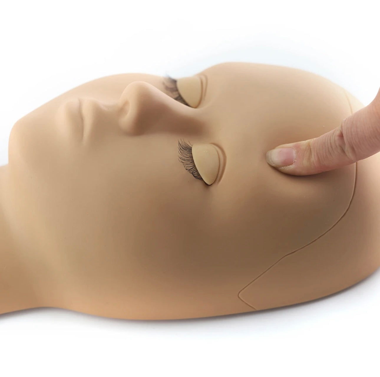 <tc>Mannequin Head | Replaceable Eyelid</tc>